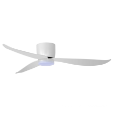 Low profile ceiling fan with light